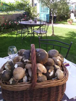 Jardin de l'établissement Villa Chanelle