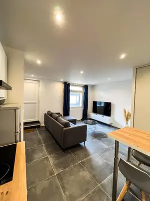 Télévision ou salle de divertissement dans l'établissement Charmant Appartement au Cœur de Blois