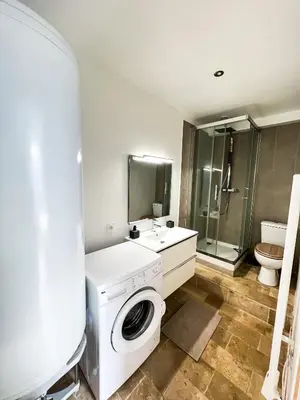 Salle de bains dans l'établissement Charmant Appartement au Cœur de Blois
