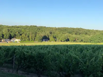 Paysage naturel près de la maison de vacances