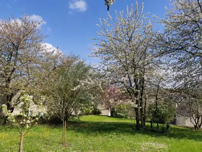 Jardin de l'établissement Chambre Gargantua Le dolmen