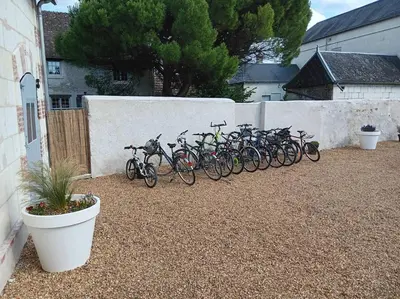 Vélo sur le terrain de l'établissement Superbe gite familial pour 10 personnes à Gizeux ou dans les environs