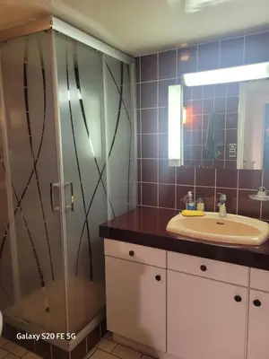 Salle de bains dans l'établissement Cottage de 13 personnes proche du Mans
