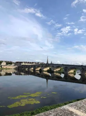 Vue sur la rivière ou le fleuve situé(e) à proximité de l'appartement
