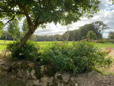 Jardin de l'établissement Maison de Campagne avec Piscine, Vallée de la Loire