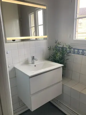 Salle de bains dans l'établissement Gîte Bon Accueil, 3 étoiles, Souzay-Champigny 49