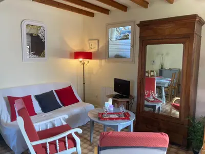Télévision ou salle de divertissement dans l'établissement Gîte Bon Accueil, 3 étoiles, Souzay-Champigny 49
