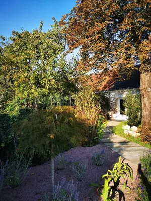 Jardin de l'établissement La Jacquière