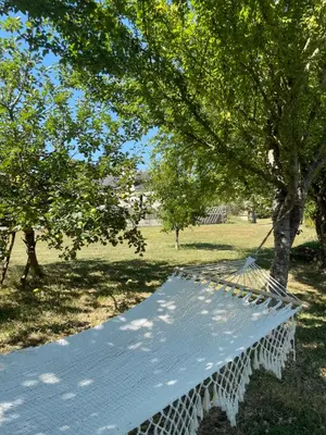 Jardin de l'établissement Gîte Moulin d'Olivet