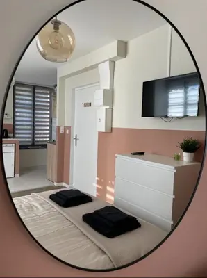 Cuisine ou kitchenette dans l'établissement Duplex et Studio Saint Martin Le Beau