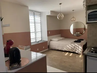 Cuisine ou kitchenette dans l'établissement Duplex et Studio Saint Martin Le Beau