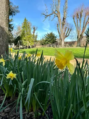 Jardin de l'établissement La Parenthèse Fléchoise, Chambre Agathe