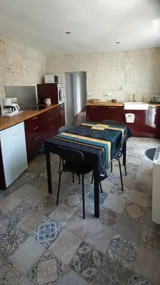 Cuisine ou kitchenette dans l'établissement La troglo aux oiseaux