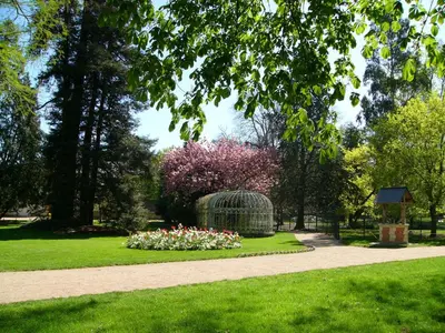 Jardin de l'établissement L'oiseau blanc / central - piscine du lac