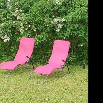 Jardin de l'établissement Au fil des saisons