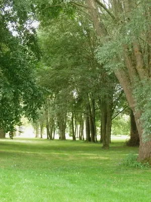 Jardin de l'établissement Chambre d'hôte Moulin de l'Aumonier