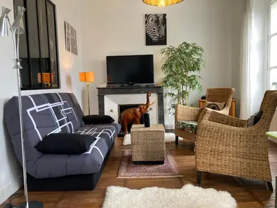Télévision ou salle de divertissement dans l'établissement La Loire et ses châteaux avec vos proches