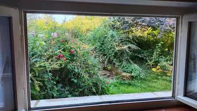 Jardin de l'établissement Petit Moulin Renaissance