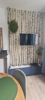 Télévision ou salle de divertissement dans l'établissement Studio 4 personnes aux pieds du château de Blois avec expérience de dormir sous les aurores boréales