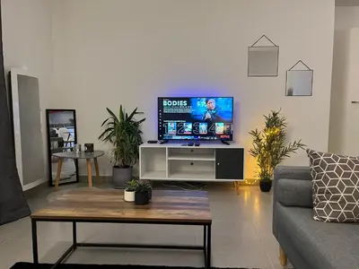 Télévision ou salle de divertissement dans l'établissement Calm in Tours - Appartement T2