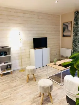 Télévision ou salle de divertissement dans l'établissement Maison 4 p. Château de la Loire