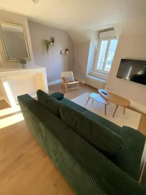 Télévision ou salle de divertissement dans l'établissement Au cœur de Blois