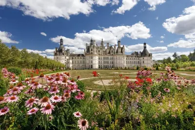Jardin de l'établissement Au cœur de Blois
