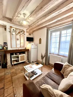 Télévision ou salle de divertissement dans l'établissement Le Petit Saint Jean - Appartement cosy à Blois