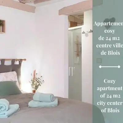Le Petit Saint Jean - Appartement cosy à Blois