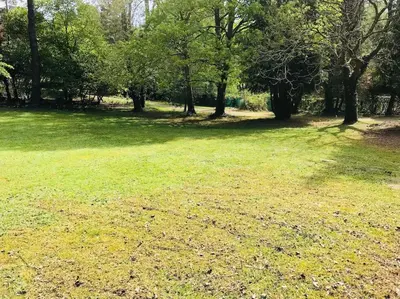 Jardin de l'établissement L’Appar(T) du Grand Bois - Jacuzzi -
