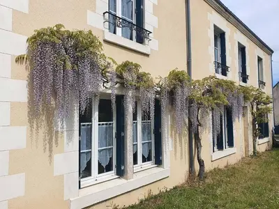 Jardin de l'établissement La Chambre des Châteaux