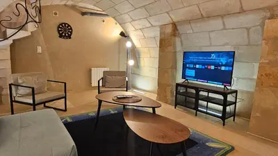 Télévision ou salle de divertissement dans l'établissement Duplex élégant Tours quais de Loire