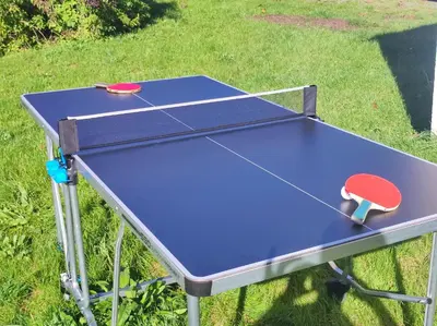 Tennis de table au sein de l'établissement Le Chant des étoiles ou à proximité