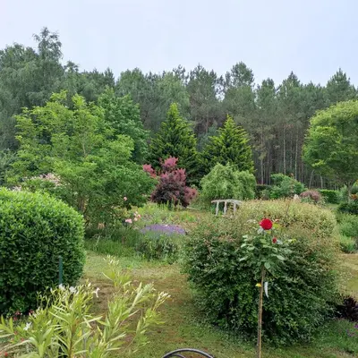 Jardin de l'établissement chambre plan d eau