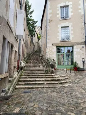 Plan de l'établissement Dupplex, centre ville