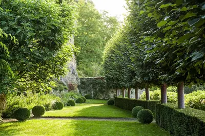 Jardin de l'établissement Manoir des Basses Rivières
