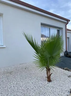 Plan de l'établissement Maison By Sana proche du lac