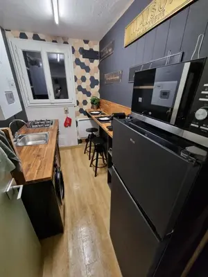 Cuisine ou kitchenette dans l'établissement Appartement Tours centre