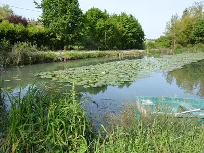 Vue sur la rivière ou le fleuve situé(e) à proximité de la maison de vacances