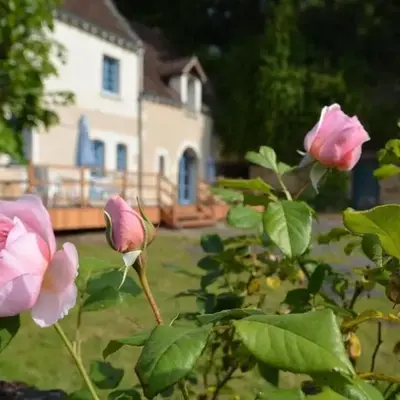 Maison de caractère 1840 en Touraine avec grand jardin