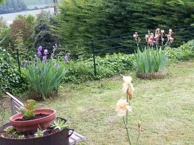 Jardin de l'établissement la maisonnette du peu-morier