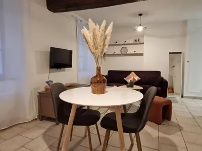 Télévision ou salle de divertissement dans l'établissement Échappée royale au pied du château, Hyper-Centre - Royal escape at foot of castle, Hyper-Centre
