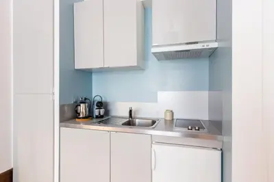 Cuisine ou kitchenette dans l'établissement Studio François 1er
