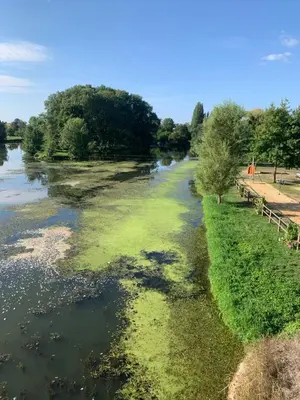 Paysage naturel près de le séjour chez l'habitant