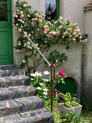Jardin de l'établissement Capucine