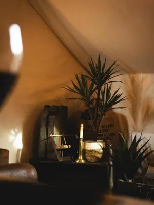Plan de l'établissement L'Insolite, expérience safari chic à Saumur