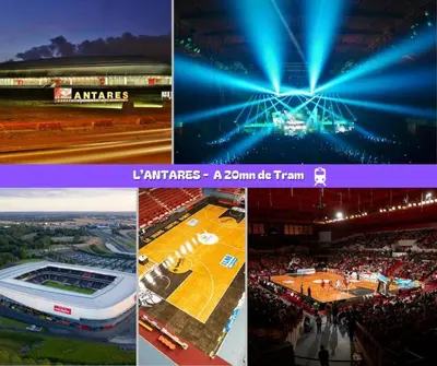Plan de l'établissement Flexy - T2 - L' Agate Grise - Le Mans