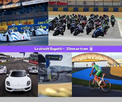 Plan de l'établissement Flexy - T2 - L' Agate Grise - Le Mans