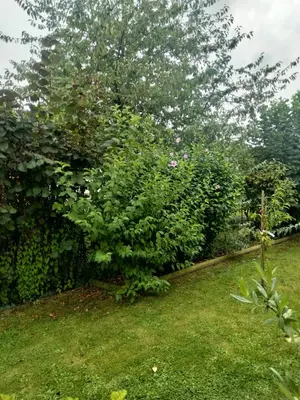 Jardin de l'établissement Les stands 4 chambres - lits doubles