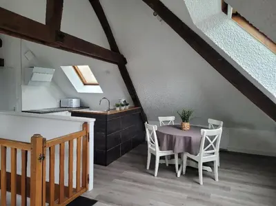 Cuisine ou kitchenette dans l'établissement Appartement avec vue sur Loire